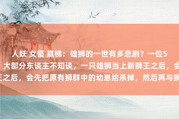 人妖 女優 赢梯：雄狮的一世有多悲剧？一位50多岁的护林员告诉我，大部分东谈主不知谈，一只雄狮当上新狮王之后，会先把原有狮群中的幼崽给杀掉，然后再与狮群中的母狮交配。
